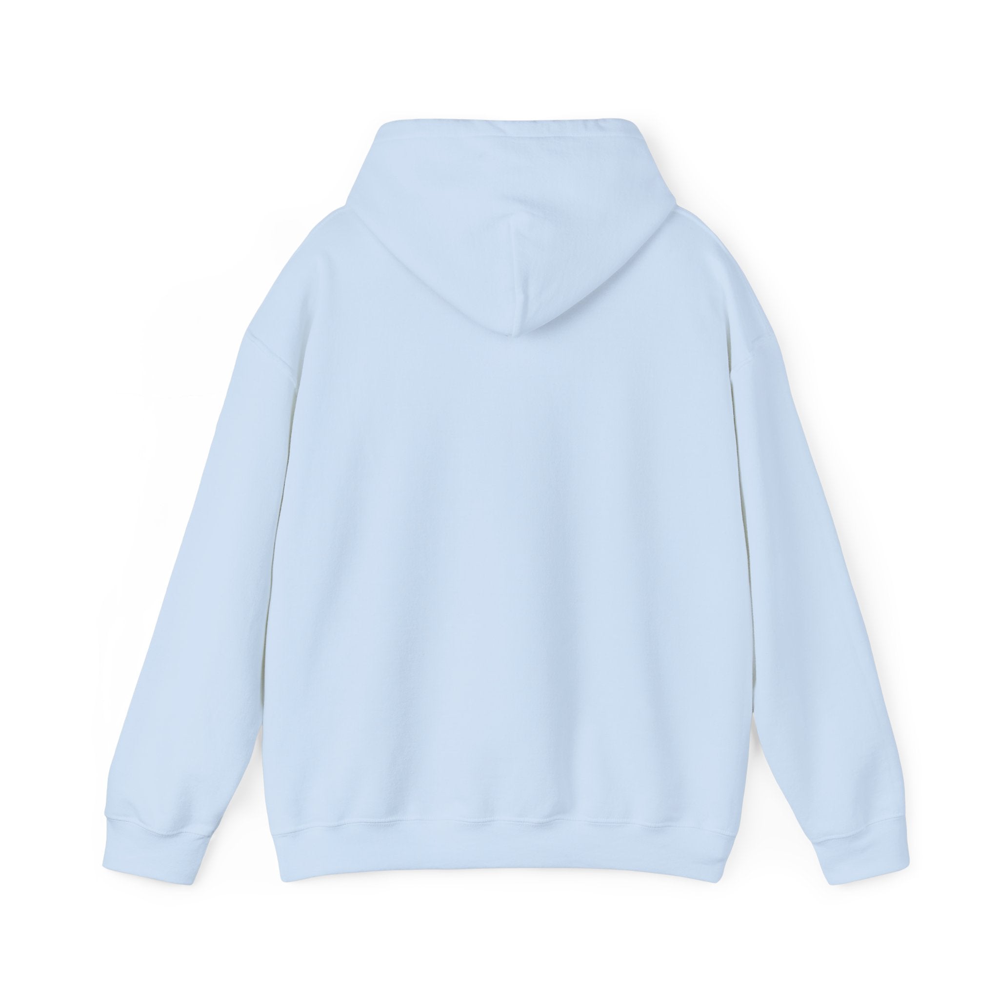 Eye Don't Chase Hooded Sweatshirt